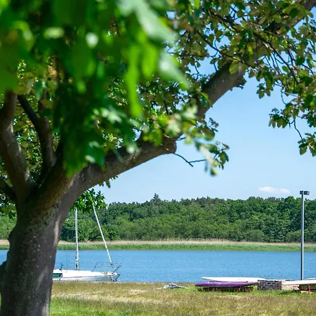 Stunning In * Нове-Варпно